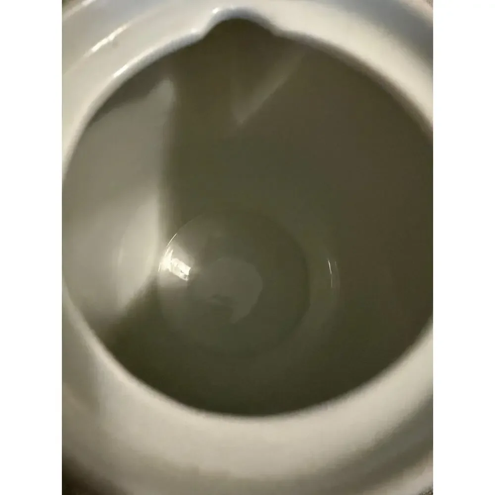 🌿 White Porcelain Pouring Pot Strainer Insert – 7.5